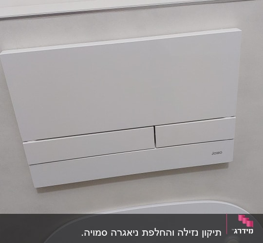לחצן הדחה כפול על קיר חדר אמבטיה
